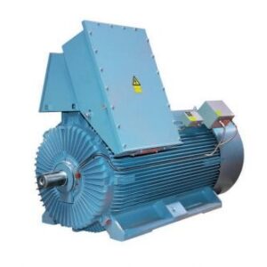 HXR 500LS12 710KW 3000V ABB high voltage induction motors 495 rpm 50HZ