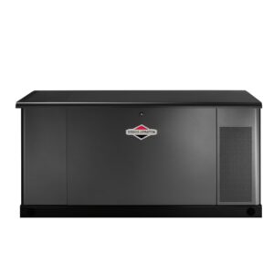 Briggs and Stratton 76880 Fortre