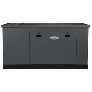 Briggs and Stratton 76830 Fortre