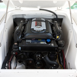 MerCruiser 4.5L 250 HP MPI Bravo DTS